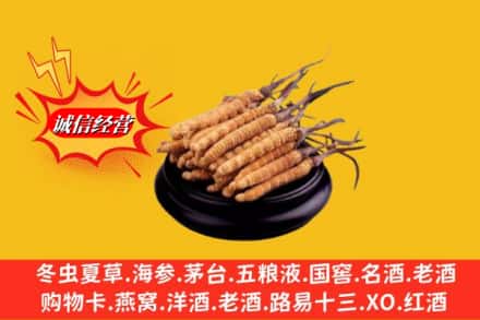 吕梁市临县求购回收虫草多少钱每克